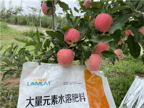 水溶肥，翠姆，拉姆拉
