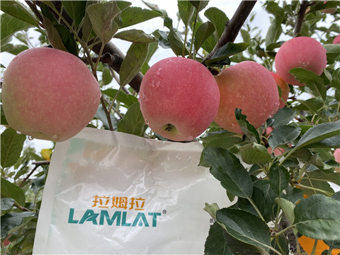 水溶肥，翠姆，拉姆拉