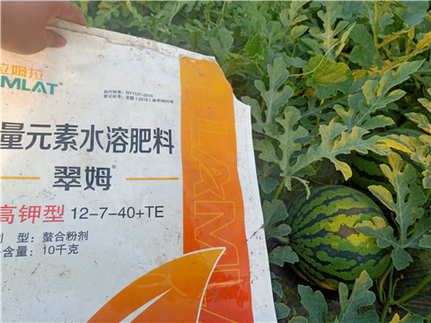 水溶肥，拉姆拉，翠姆