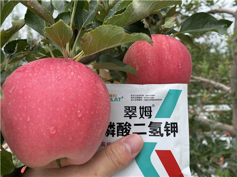 高鉀水溶肥，磷酸二氫鉀，拉姆拉，翠姆