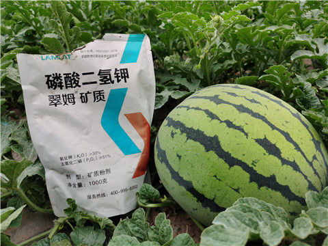 進(jìn)口水溶肥，翠姆，拉姆拉