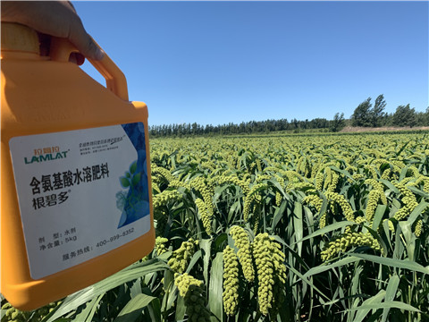 磷酸二氫鉀，拉姆拉，翠姆