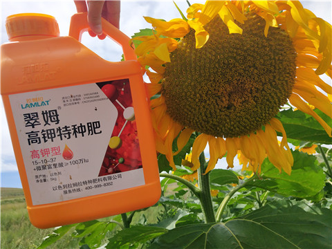 進口水溶肥，拉姆拉