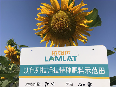 進口水溶肥，拉姆拉