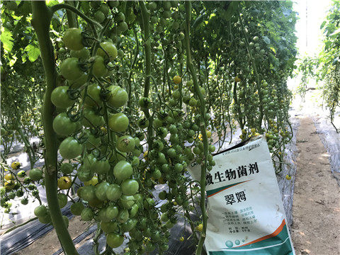 微生物菌劑，磷酸二氫鉀，翠姆，拉姆拉