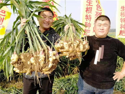 水溶肥，翠姆，拉姆拉