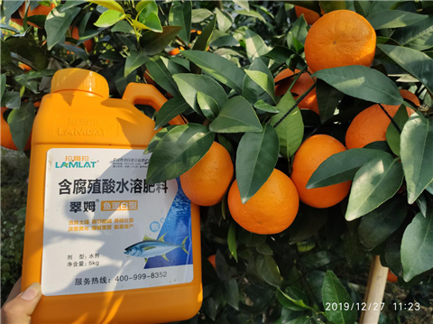 水溶肥，翠姆，拉姆拉