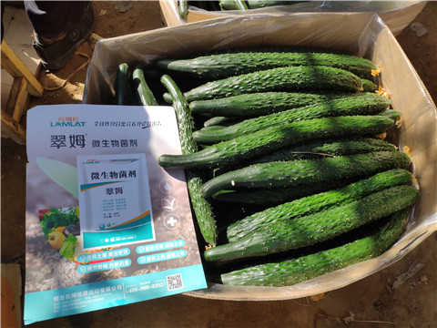 葉面肥，安碧解，除草劑藥害