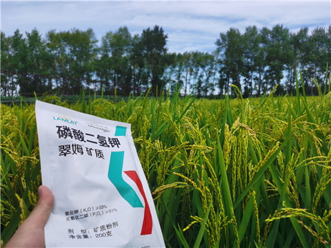 磷酸二氫鉀，拉姆拉，翠姆