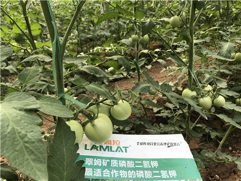 磷酸二氫鉀，拉姆拉，翠姆