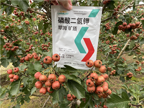 磷酸二氫鉀，拉姆拉，翠姆