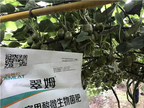 微生物菌劑，平衡顆粒復合肥，翠姆，拉姆拉