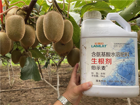 水溶肥，生根劑，微生物菌劑，伯示麥，拉姆拉