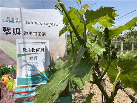 微生物菌劑，拉姆拉，翠姆