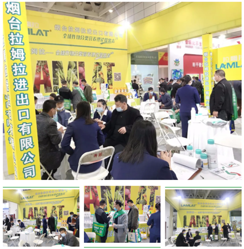 水溶肥，拉姆拉，翠姆