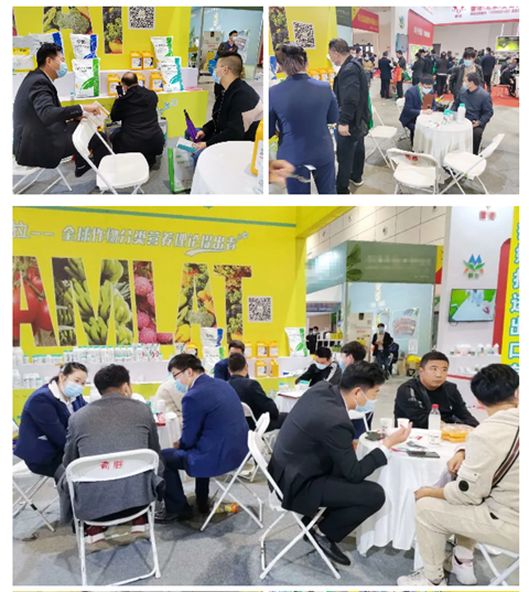 水溶肥，拉姆拉，翠姆