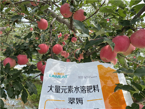 水溶肥，大量元素水溶肥，翠姆，拉姆拉