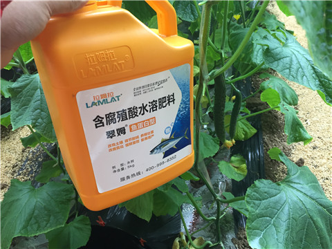 滴灌肥，拉姆拉，翠姆