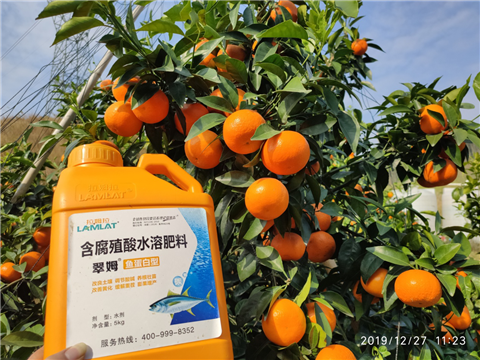 水溶肥，拉姆拉，翠姆