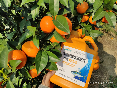 水溶肥，拉姆拉，翠姆