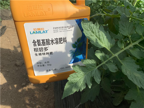水溶肥，拉姆拉，翠姆