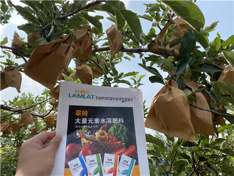 大量元素水溶肥，拉姆拉，翠姆