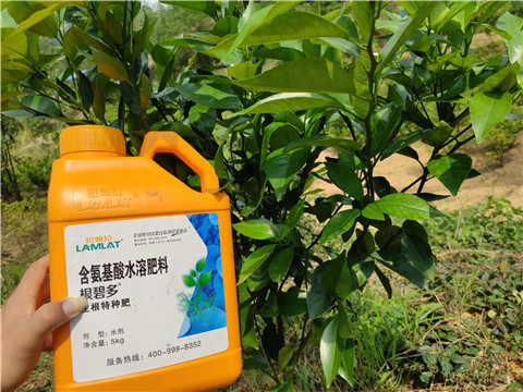 水溶肥，拉姆拉，翠姆