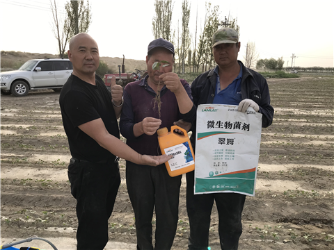 水溶肥，拉姆拉，翠姆