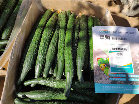 微生物菌劑，拉姆拉，翠姆