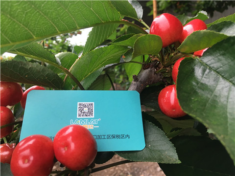 大量元素水溶肥，拉姆拉，翠姆