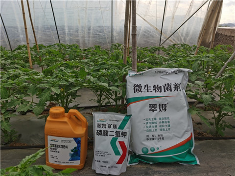 水溶肥，拉姆拉，翠姆