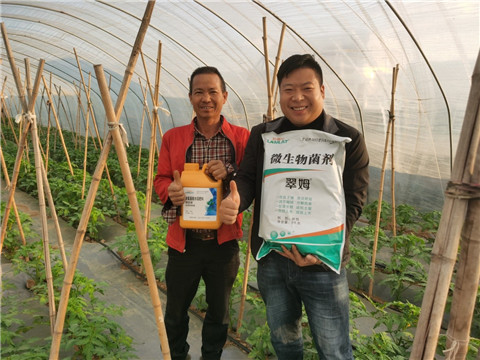 水溶肥，拉姆拉，翠姆