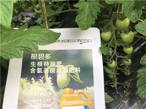水溶肥，拉姆拉，翠姆