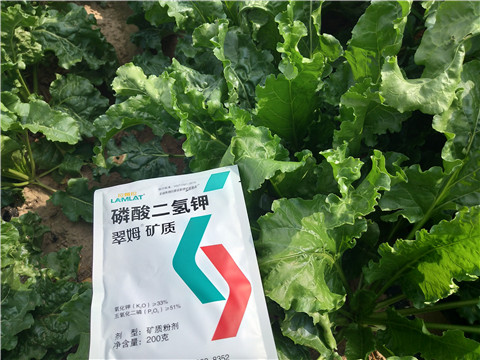水溶肥，拉姆拉，翠姆