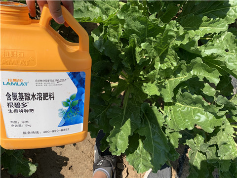 水溶肥，拉姆拉，翠姆