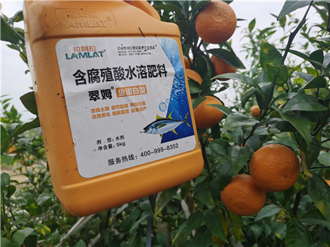 水溶肥，拉姆拉，翠姆