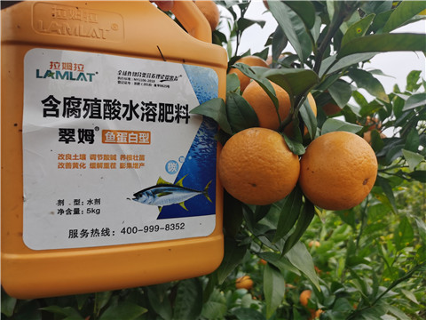 水溶肥，拉姆拉，翠姆
