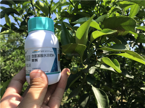 葉面肥，拉姆拉，翠姆