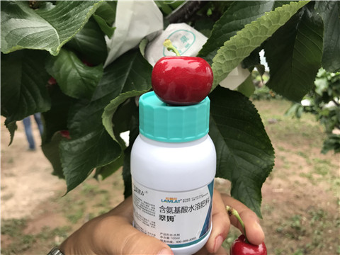 水溶肥，拉姆拉，翠姆