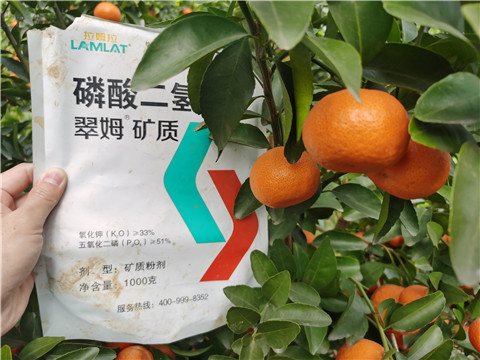 水溶肥，拉姆拉，翠姆