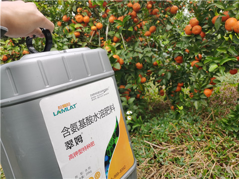 水溶肥，拉姆拉，翠姆