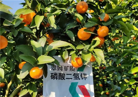磷酸二氫鉀，拉姆拉，翠姆