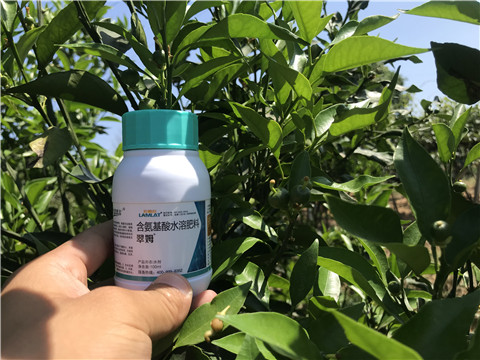 葉面肥，拉姆拉，翠姆