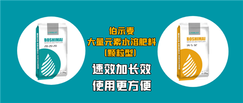 顆粒肥，拉姆拉，翠姆