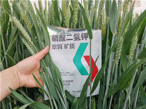 葉面肥，水溶肥，磷酸二氫鉀