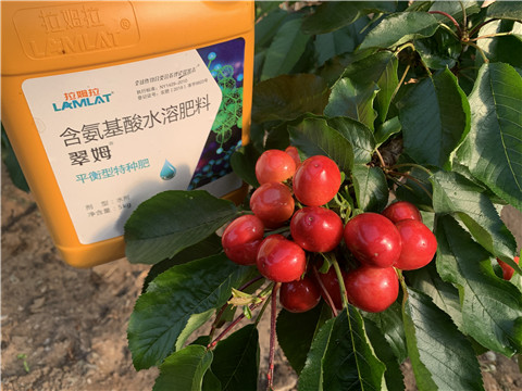 氨基酸水溶肥，拉姆拉，翠姆
