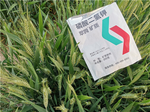 水溶肥，拉姆拉，翠姆