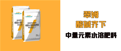 水溶肥，拉姆拉，翠姆