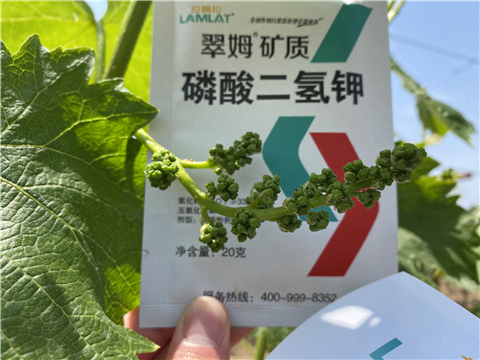 磷酸二氫鉀，拉姆拉，翠姆