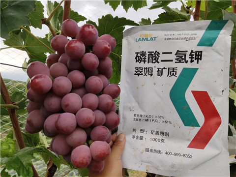 磷酸二氫鉀，拉姆拉，翠姆